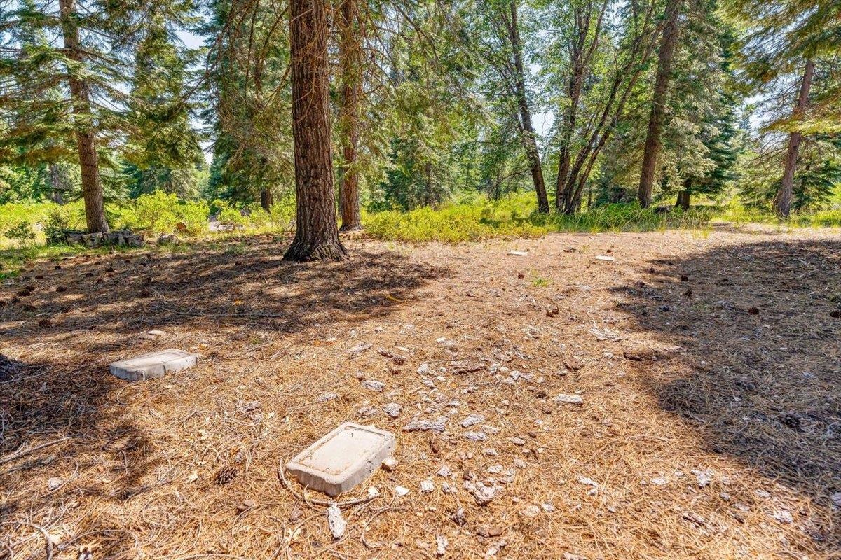 Land in McCloud 5
