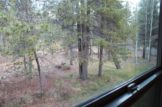 15-View from Prime | Image 14