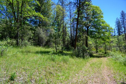 230 Shasta Springs Rd, Weaverville, CA, 96093 | Card Image