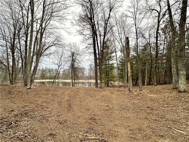 16 295th Street, Home with 0 bedrooms, 0 bathrooms and null parking in Holcombe WI | Image 46