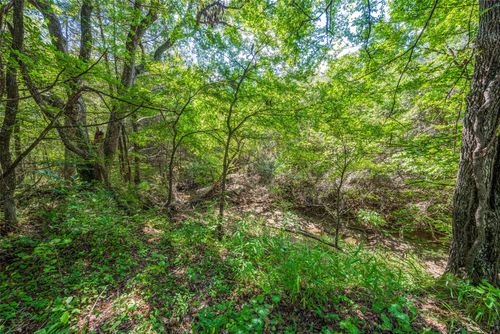 347 Copper Branch Rd, Whitesboro, TX, 76273-1121 | Card Image