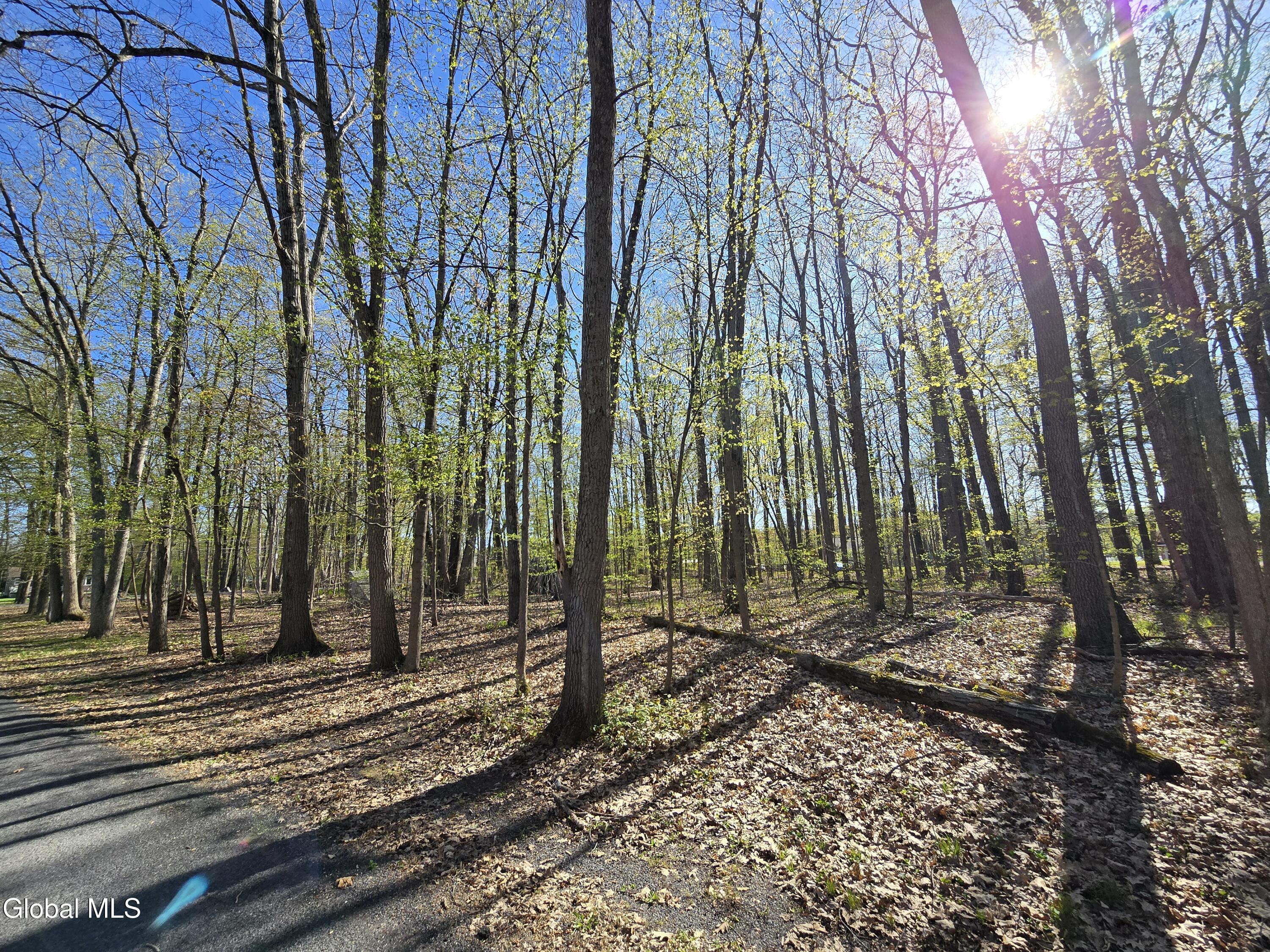 Land in Clifton Park 5