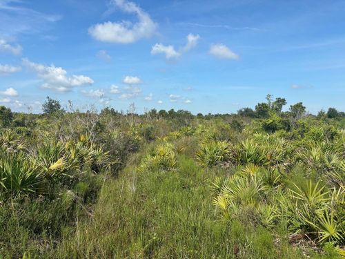 0 Nw 312th St, Okeechobee, FL, 34972 | Card Image