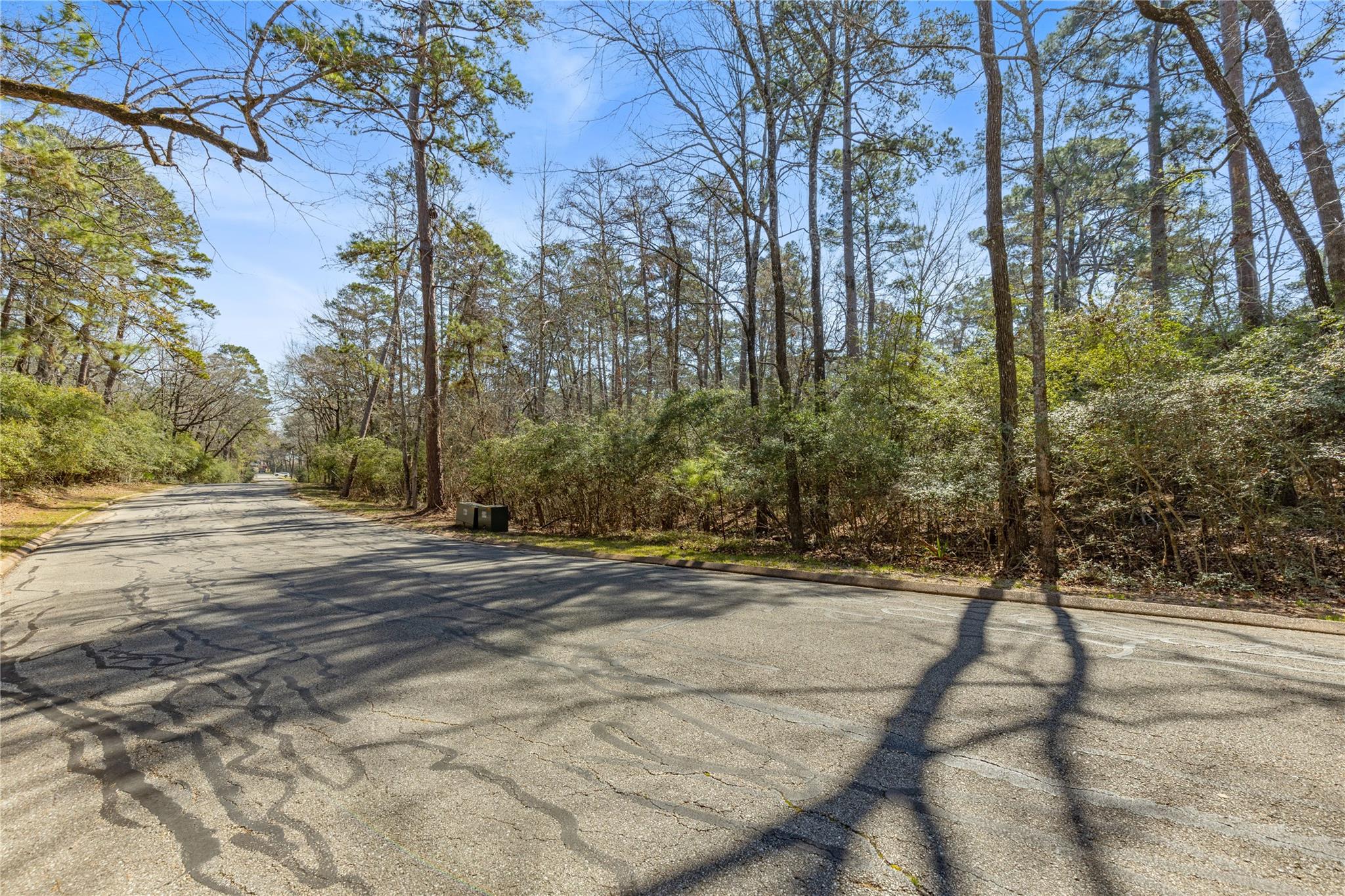 Land in Huntsville 3