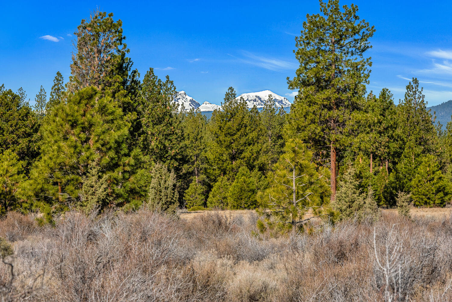 Land in Bend 5