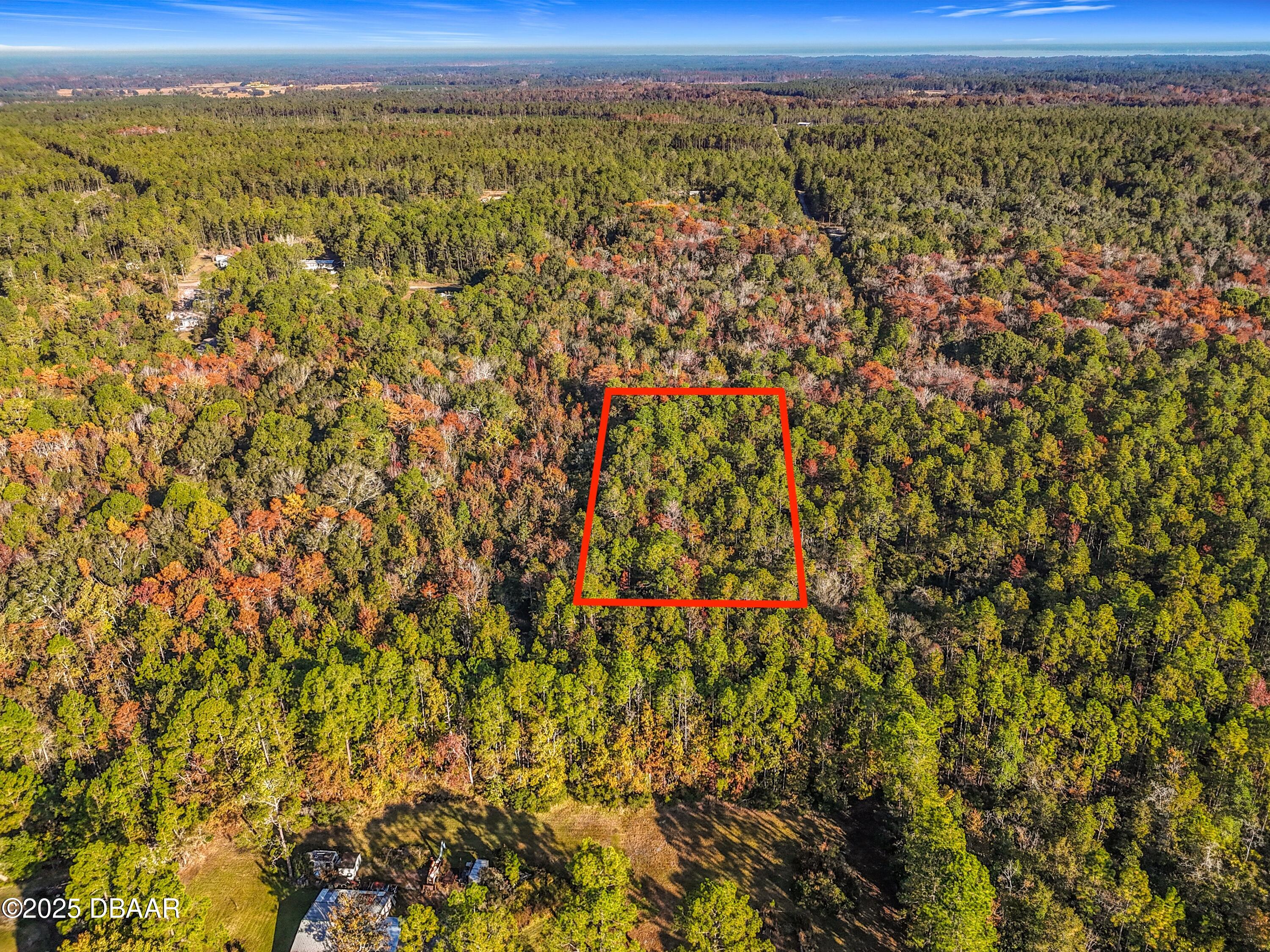 Land in Palatka 3