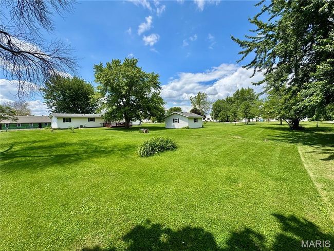 View of green lawn | Image 5