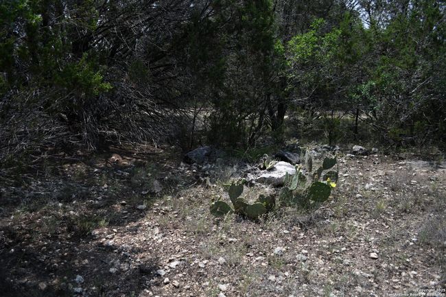 135 Agarita Dr, Home with 0 bedrooms, 0 bathrooms and null parking in Spring Branch TX | Image 5