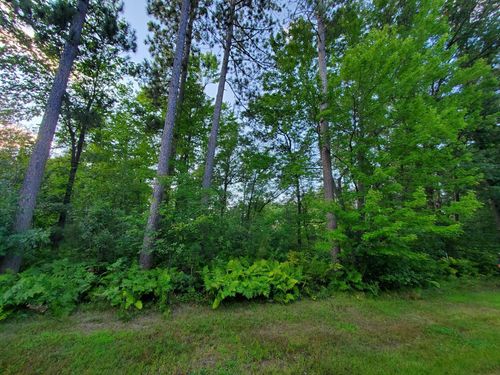 TBD Red Fern Trl, Brainerd, MN, 56401 | Card Image