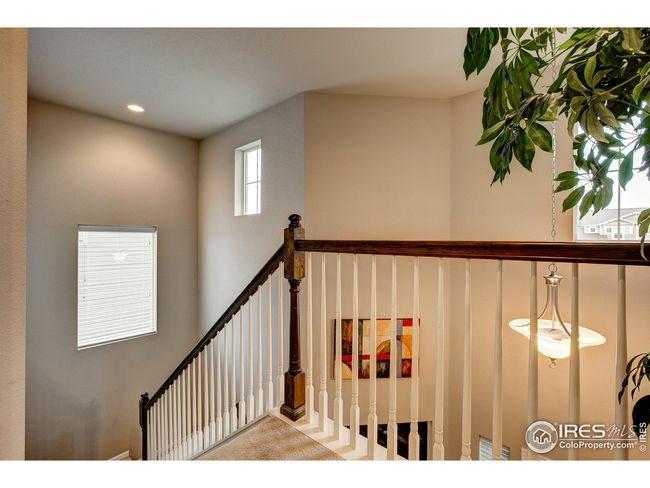 5128 Odessa Lake St, House other with 4 bedrooms, 3 bathrooms and null parking in Timnath CO | Image 22