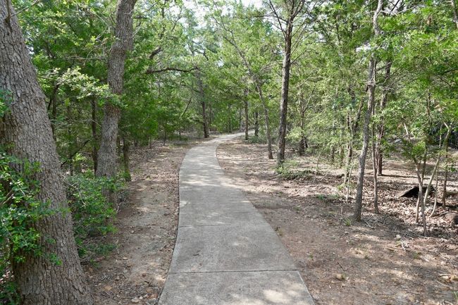 View of street featuring a forest view | Image 36