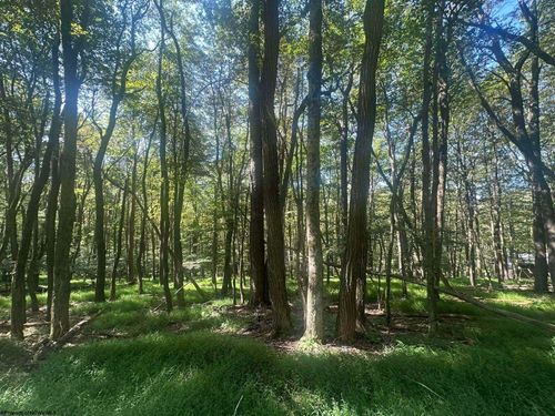 lot-70-innsbruck-lot 70 Clover Dr, Terra Alta, WV, 26764-2740 | Card Image