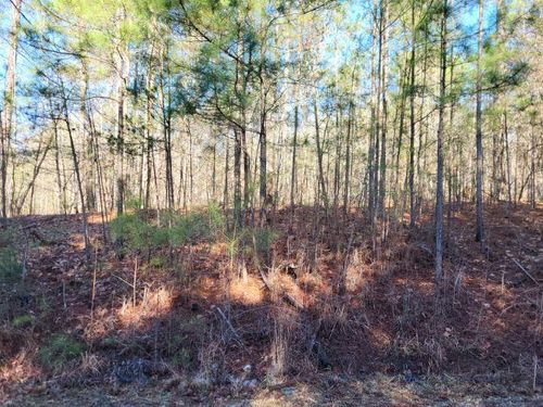 25 Pine Ridge Way, Salem, SC, 29676 | Card Image