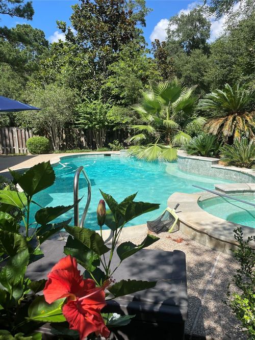 38 Dovewing Pl, The Woodlands, TX, 77382-1114 | Card Image