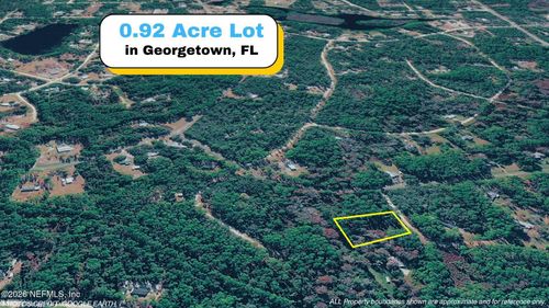 102 Hyacinth Ct, Georgetown, FL, 32139-2310 | Card Image