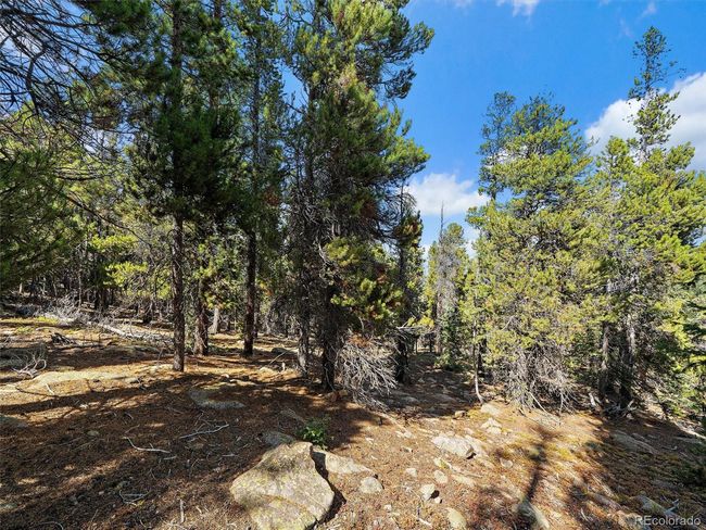 0 Edward Dr, Home with 0 bedrooms, 0 bathrooms and null parking in Conifer CO | Image 8