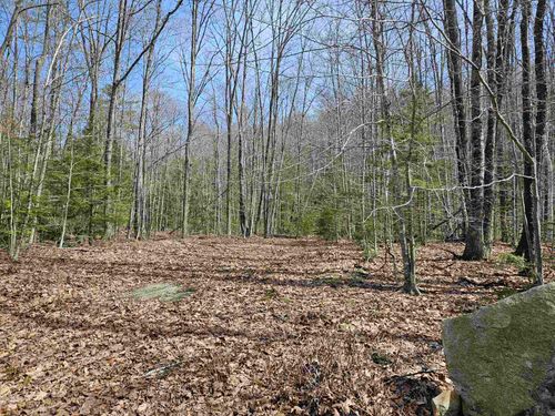 00 Hinkson Brook Rd, Canaan, NH, 03741 | Card Image