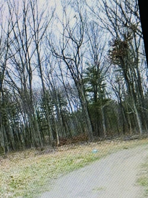 25 Matthew Ln, Windsor, CT, 06095-3219 | Card Image