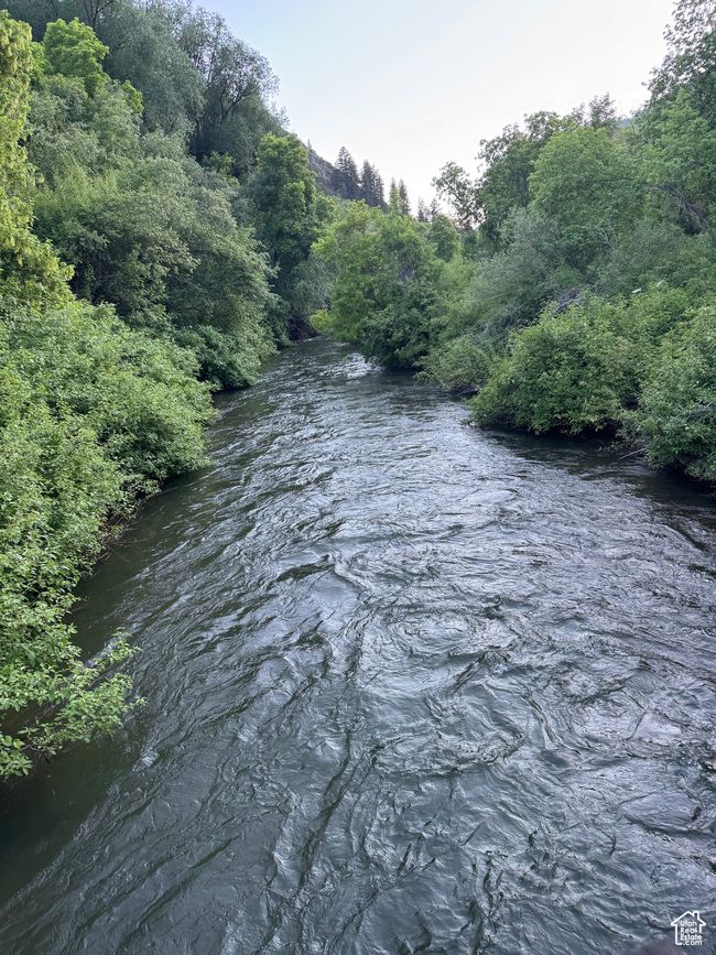 Water view with a heavily wooded area | Image 18