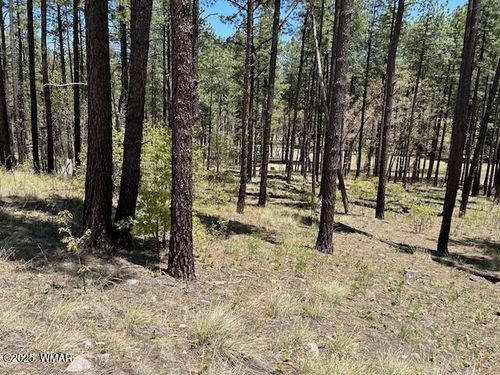 TBD N2122, Alpine, AZ, 85920 | Card Image