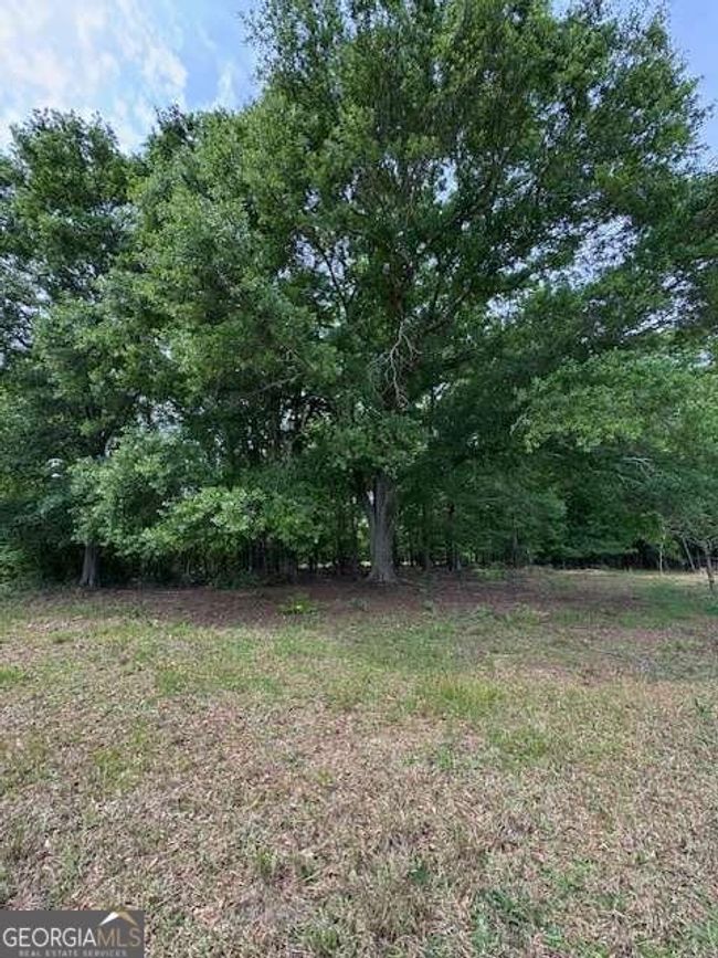 0 Deep Creek Rd, Home with 0 bedrooms, 0 bathrooms and null parking in Dewy Rose GA | Image 8
