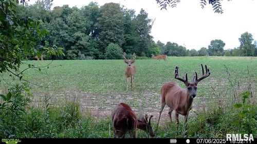 000 E 700th Ave, Watson, IL, 62473 | Card Image