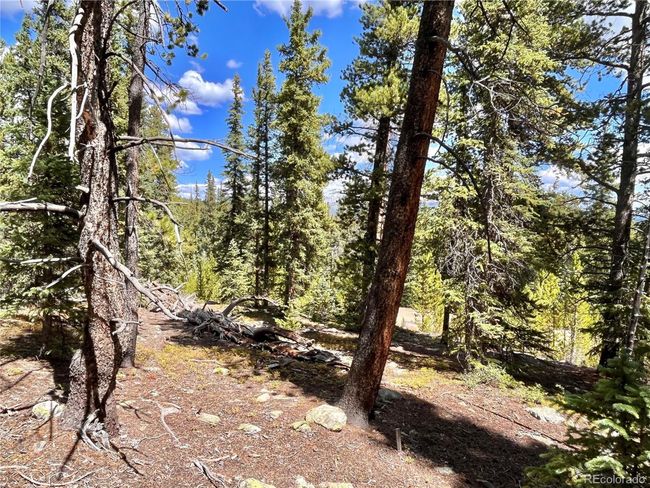 676 Dry Gulch Rd, Home with 0 bedrooms, 0 bathrooms and null parking in Fairplay CO | Image 17