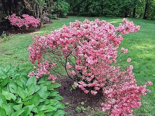 64 Alpine Rd, Yonkers, NY, 10710-2002 | Card Image