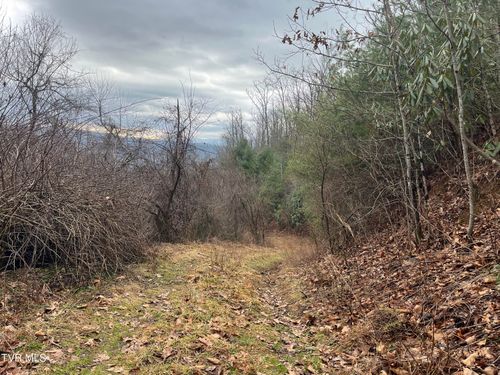 Tbd H Proffitt Ln, Butler, TN, 37640 | Card Image