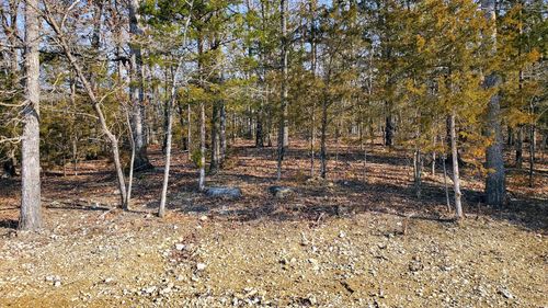 000 Lot 98 Summer Breeze Lane, Kimberling City, MO, 65686 | Card Image