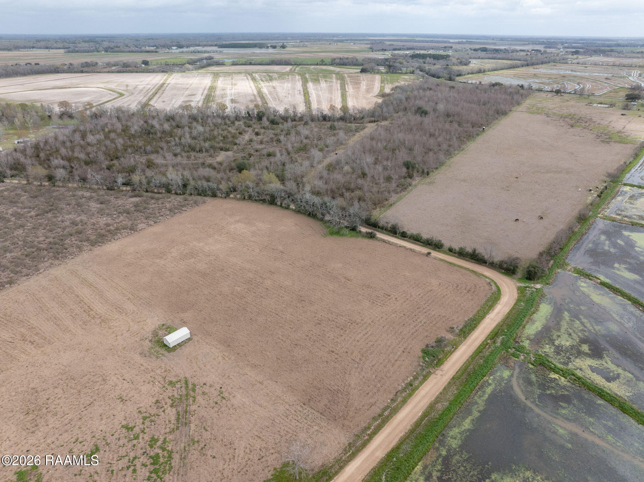 Land in Eunice 5