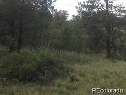 1681 Athapascan Rd, HARTSEL, CO, 80449 | Card Image
