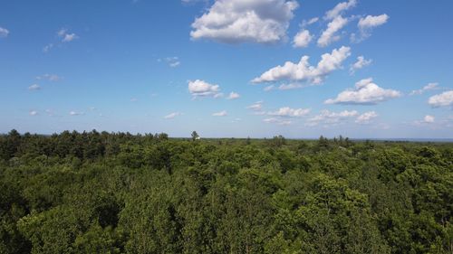XXXX Moonlight Drive, Twin Lakes Twp, MN, 55718 | Card Image