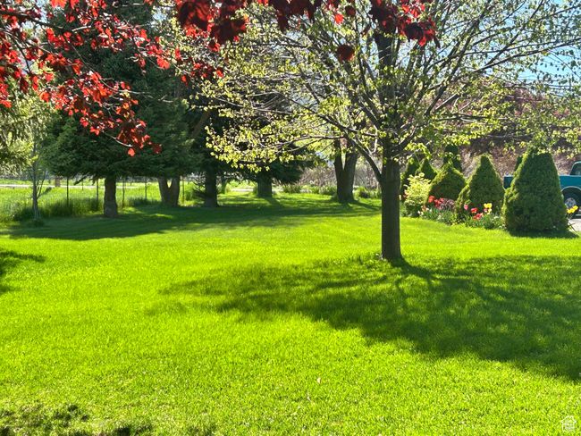 View of green lawn | Image 44