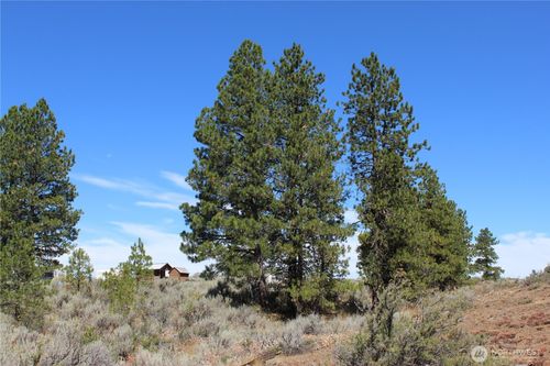 202 Falcon Ridge Rd, East Wenatchee, WA, 98802 | Card Image