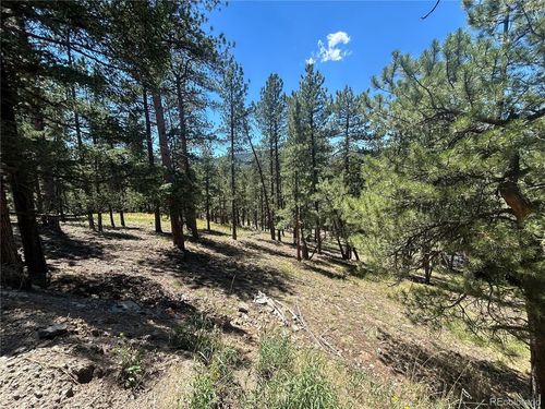 0 Pine Pne, Evergreen, CO, 80439 | Card Image