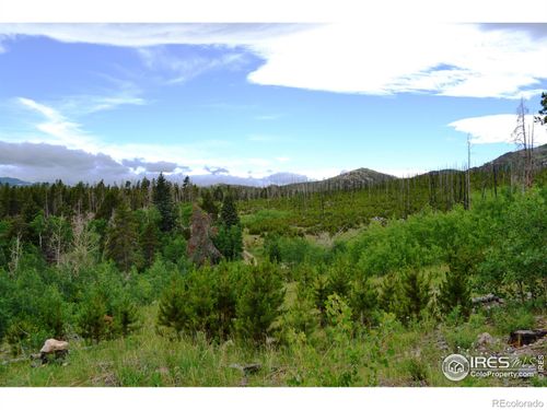 1256 Basking Dog Rd, Bellvue, CO, 80512 | Card Image