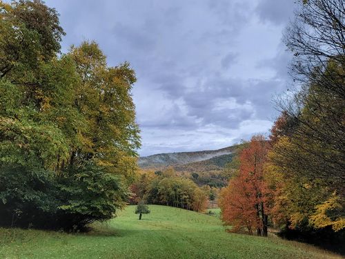 0 Old Slash Rd, Troutdale, VA, 24378 | Card Image