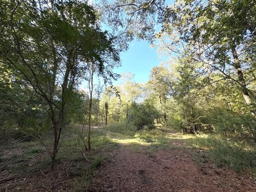 2080 County Road 1100, Woodville, TX, 75979-6716 | Card Image