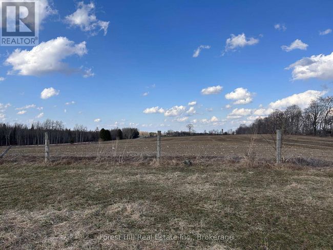 PtLt133 Conc1, Home with 0 bedrooms, 0 bathrooms and null parking in Grey Highlands ON | Image 8