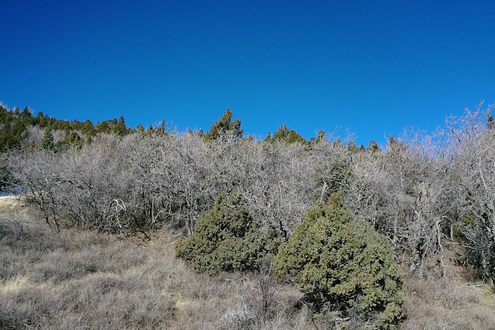 Land in Summit 5