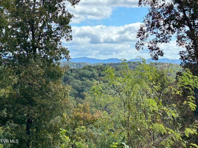 1300 Fish Hatchery Rd, House other with 3 bedrooms, 2 bathrooms and null parking in Mohawk TN | Image 25