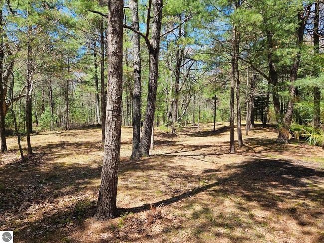 3767 N Us Highway 23, House other with 4 bedrooms, 3 bathrooms and null parking in Oscoda MI | Image 17