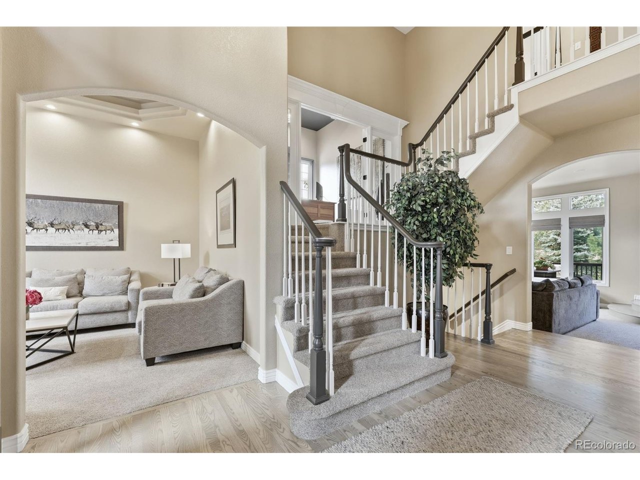 Residential in Parker 4