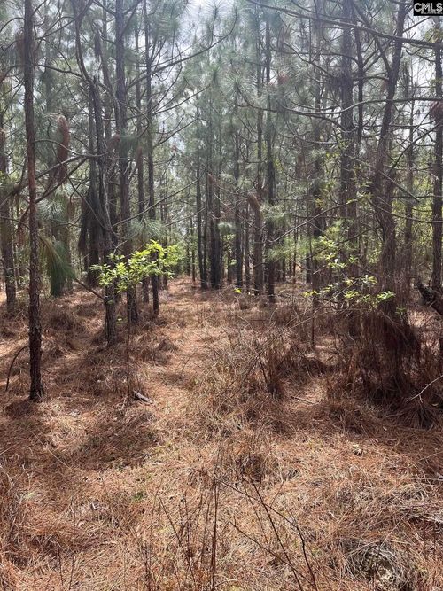 BDF 3 Beaverdam Road, Cassatt, SC, 29032 | Card Image