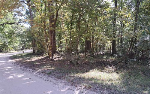 TBD Sw Santa Fe Dr, Fort White, FL, 32038 | Card Image