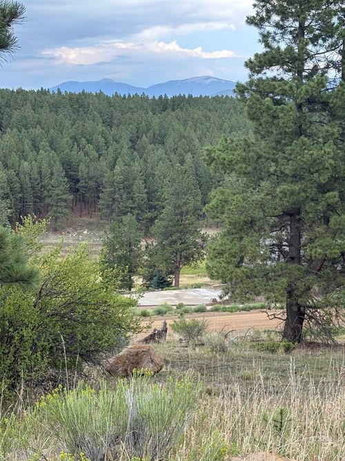 Lot 1292 San Mateo Dr, Angel Fire, NM, 87710 | Card Image