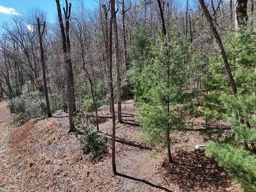 Lot 15 Native Trail, Blue Ridge, GA, 30513 | Card Image
