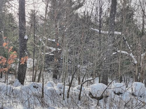 3 Skyline Trl, Chester, MA, 01011-9696 | Card Image