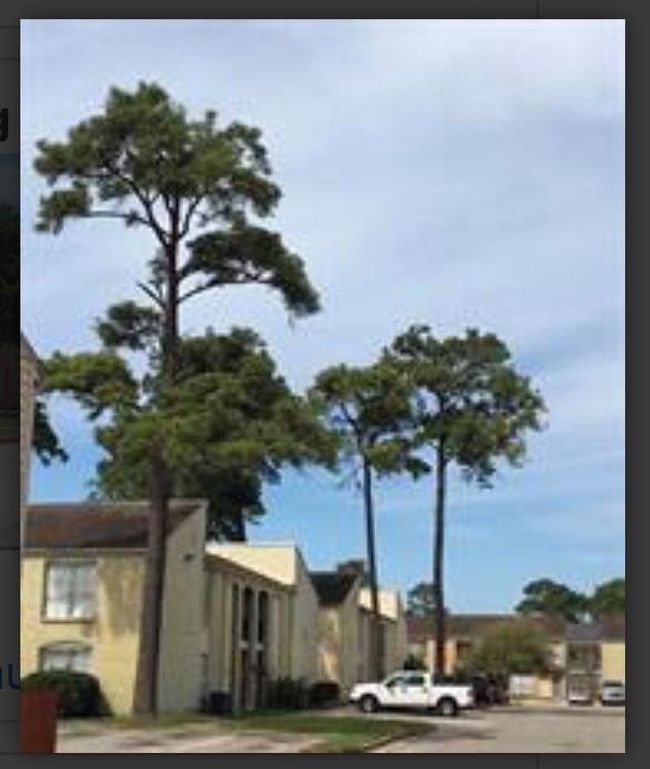 APT-802 - 6200 W Tidwell Rd, Condo with 3 bedrooms, 2 bathrooms and null parking in Houston TX | Image 8